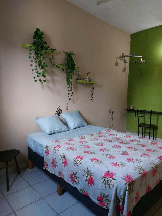 Cho Ku Rei Hostal San José del Cabo Exterior foto